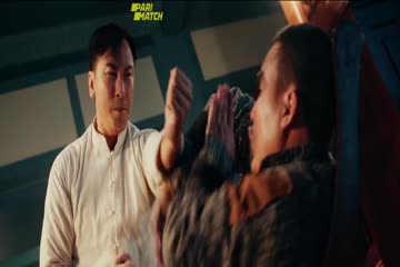 Ip Man Kung Fu Master 2019 in Hindi dubb thumb