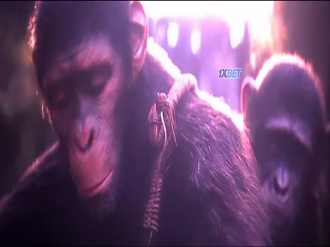 Kingdom of the Planet of the Apes 2024 Hindi Dubb thumb 