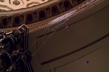 Spider Man 2002 Dubb in Hindi thumb